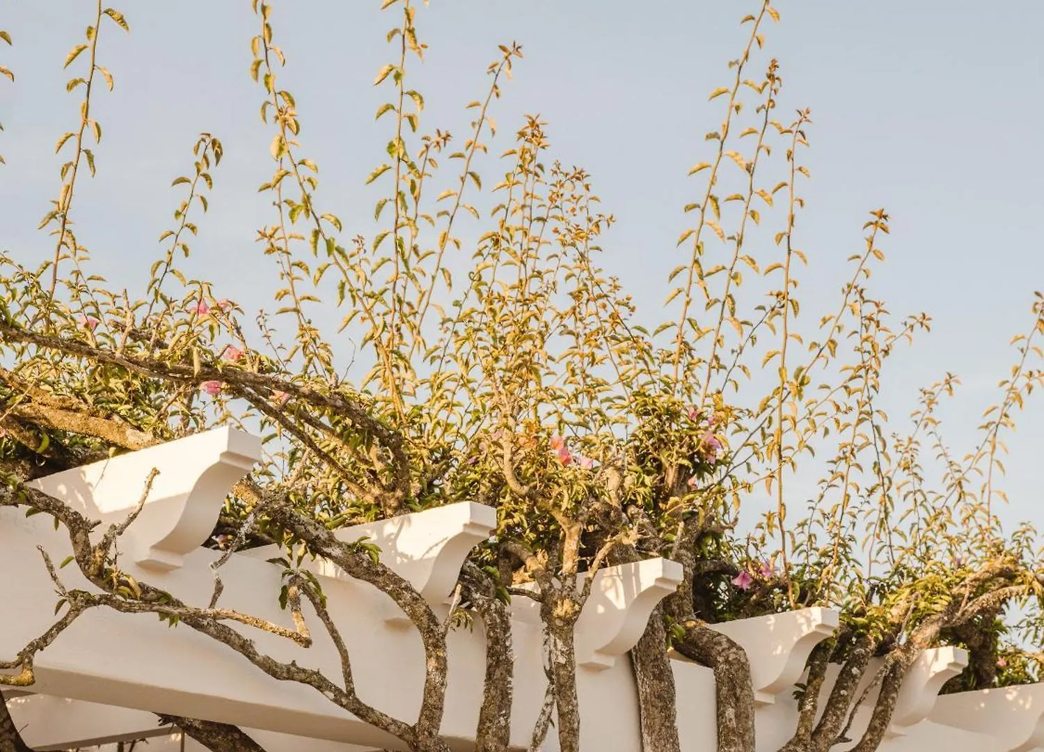 *****  Morvedra Nou Luxury Boutique Hotel - Adults Only Ciutadella  Spain